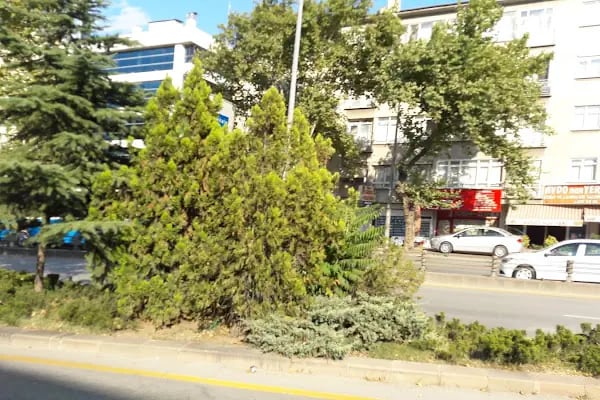 Ankara Üniversitesi Ziraat Fakültesi - Resim 15