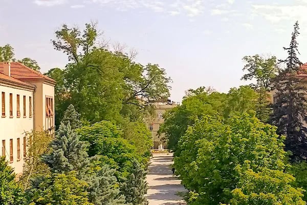 Ankara Üniversitesi Ziraat Fakültesi - Resim 17