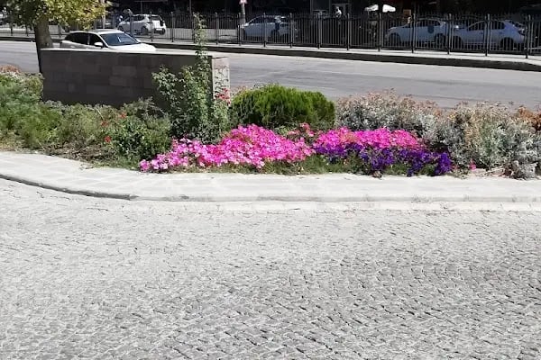 Ankara Üniversitesi Ziraat Fakültesi - Resim 4