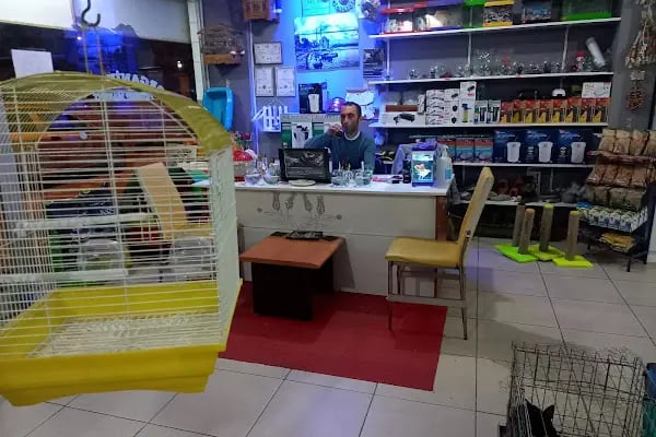 Organikcim Petshop Akvaryum Dünyası - Resim 18