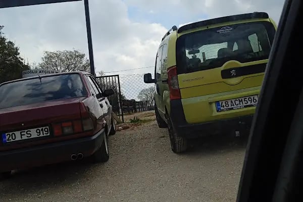 Azizoğlu Atlı Spor Kulubü - Resim 20