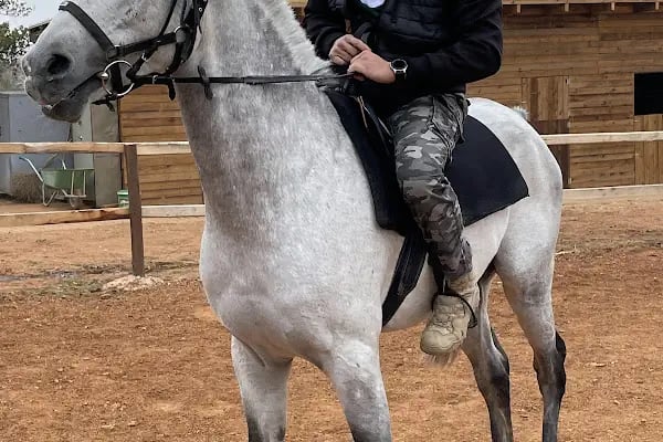 Azizoğlu Atlı Spor Kulubü - Resim 3
