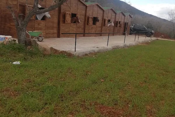 Azizoğlu Atlı Spor Kulubü - Resim 9