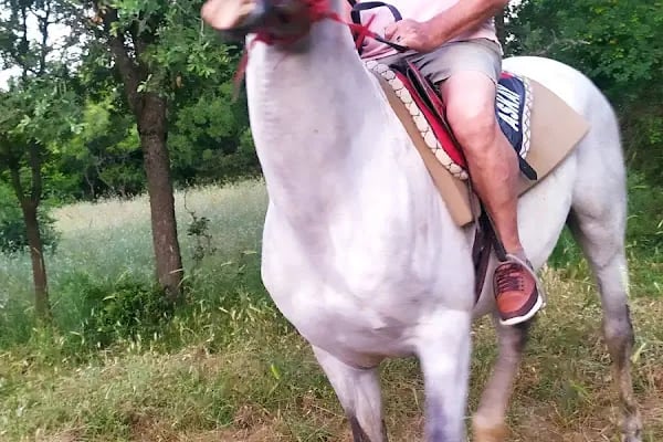 Azizoğlu Atlı Spor Kulubü - Resim 19