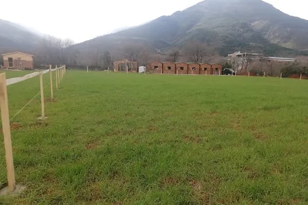 Azizoğlu Atlı Spor Kulubü - Resim 16
