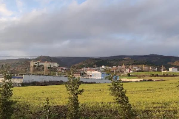 Lovely otel - Resim 15