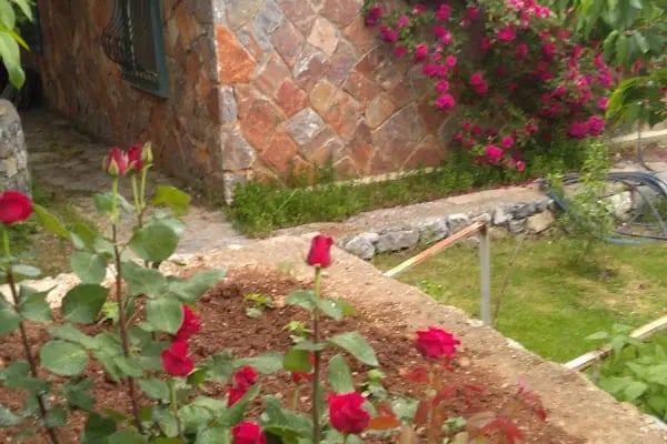 Pozantı Çamlı Villaları - Resim 20