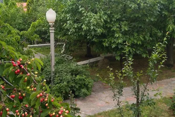 Pozantı Çamlı Villaları - Resim 5