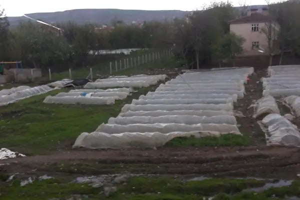 Ejder Oto Lastik Tamiri - Resim 17