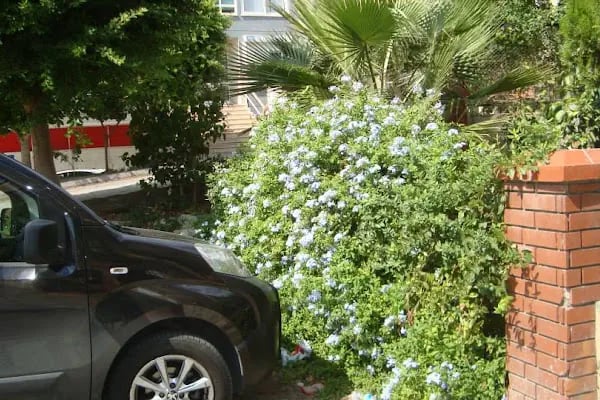 Çekiçoğlu Otomotiv - Resim 7