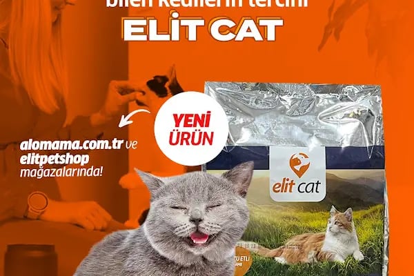 Elit Petshop Kıbrısşehitleri Şubesi - Resim 9