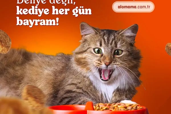 Elit Petshop Kıbrısşehitleri Şubesi - Resim 19