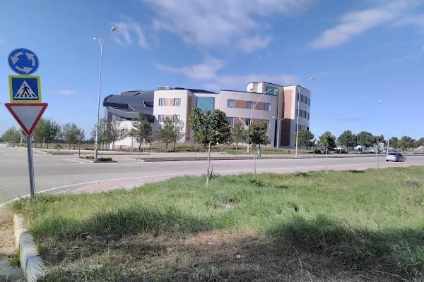 Çukurova Üniversitesi Güzel Sanatlar Fakültesi - Resim 3