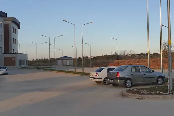 Çukurova Üniversitesi Güzel Sanatlar Fakültesi - Resim 9