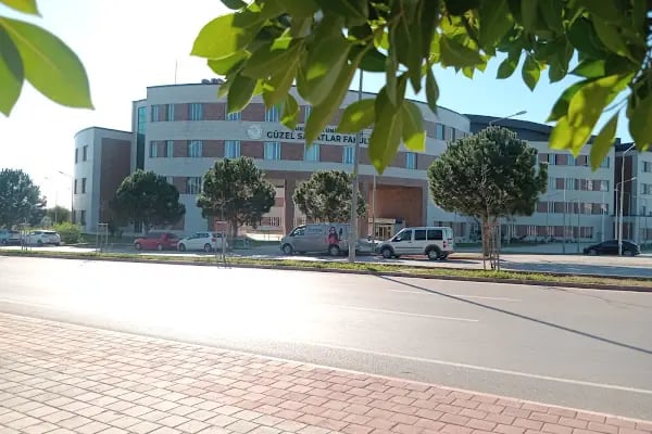 Çukurova Üniversitesi Güzel Sanatlar Fakültesi - Resim 12
