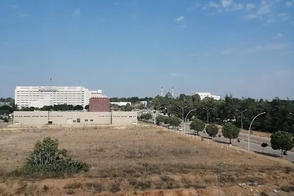 Çukurova Üniversitesi Güzel Sanatlar Fakültesi - Resim 10