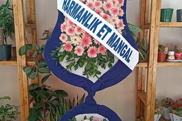 Kavra Botanik Gemlik - Resim 12
