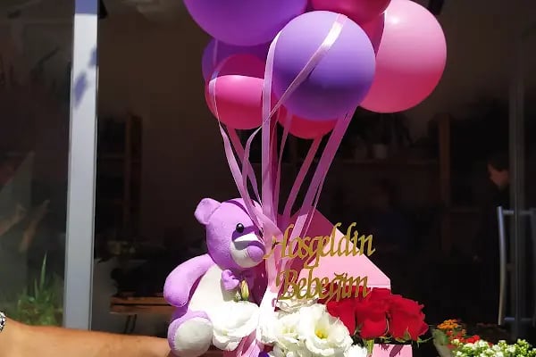 Kavra Botanik Gemlik - Resim 18