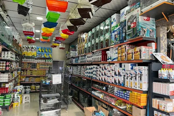 Aslan Petshop - Resim 5