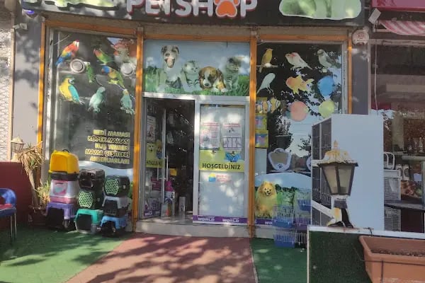 Aslan Petshop - Resim 3