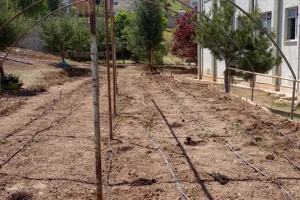 Gürsu Fazıl Hüsnü Dağlarca Anadolu Lisesi - Resim 3