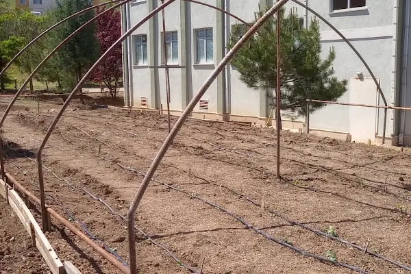 Gürsu Fazıl Hüsnü Dağlarca Anadolu Lisesi - Resim 15