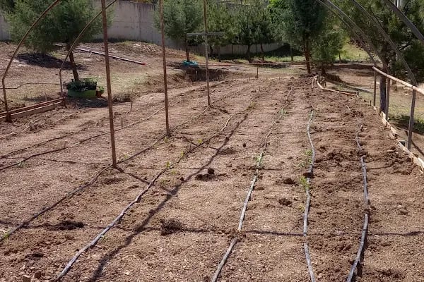 Gürsu Fazıl Hüsnü Dağlarca Anadolu Lisesi - Resim 16