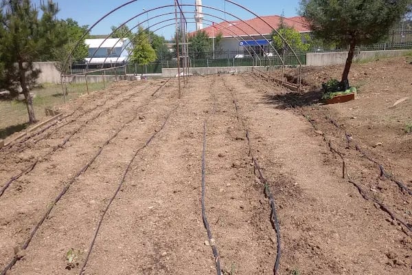 Gürsu Fazıl Hüsnü Dağlarca Anadolu Lisesi - Resim 11