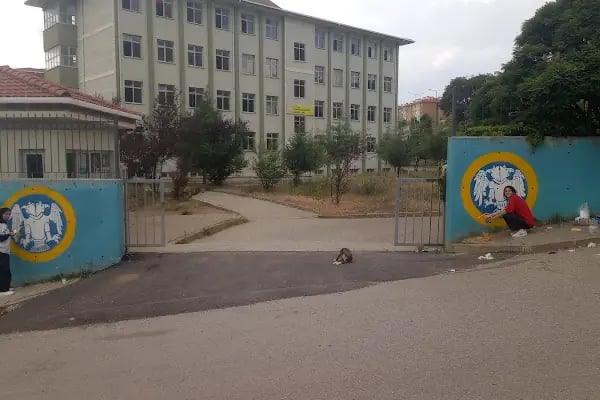 Gürsu Fazıl Hüsnü Dağlarca Anadolu Lisesi - Resim 18