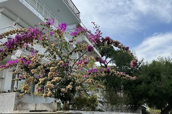 Adalar Belidiyesi Hrant Dink Çocuk Parkı - Resim 9