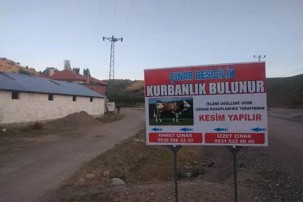 Çınar Besicilik Ve Kurbanlık - Resim 6