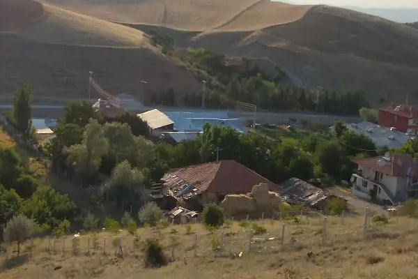 Çınar Besicilik Ve Kurbanlık - Resim 2