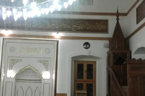 Gülpınar Mahallesi Çamlıkaltı Fatih Cami - Resim 16