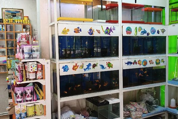 Pati Cenneti Petshop - Resim 3