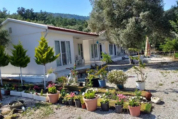 Captain İbrahim - Restaurant - Butik Otel - Çökertme - Resim 15
