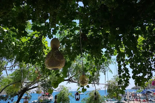 Captain İbrahim - Restaurant - Butik Otel - Çökertme - Resim 3