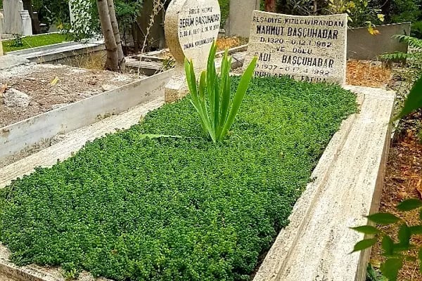 AnkaraKabir Mezar Bakım Hizmetleri - Resim 2