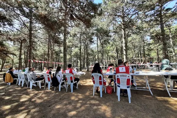 Kayabaşı Şamlar Milli Parkı - Resim 10