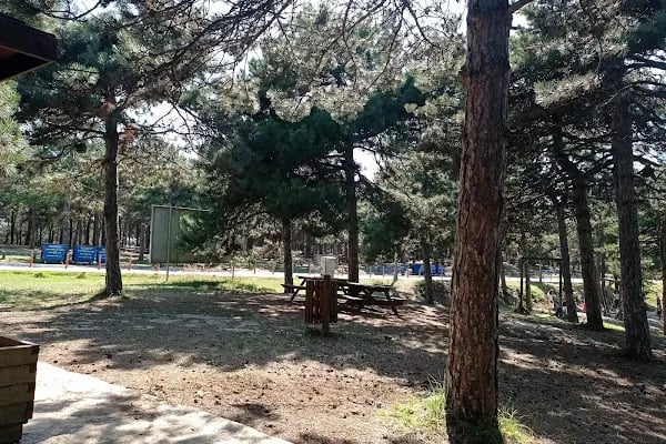 Kayabaşı Şamlar Milli Parkı - Resim 2