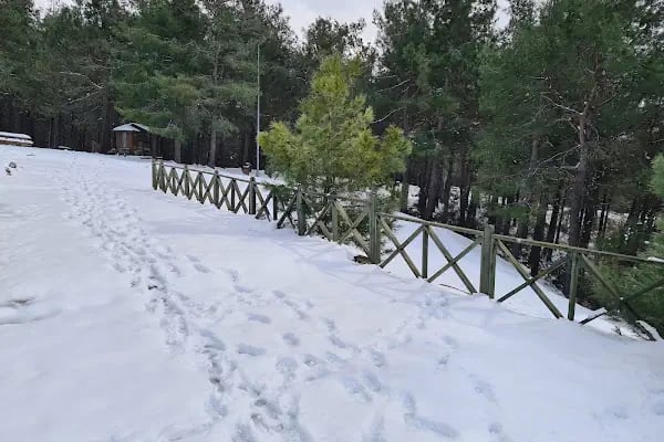Kayabaşı Şamlar Milli Parkı - Resim 8