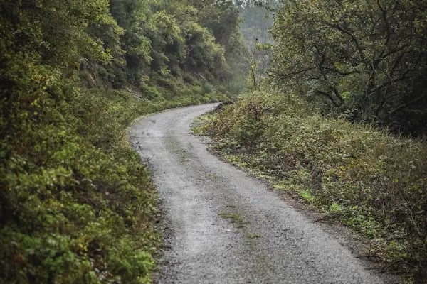 Kayabaşı Şamlar Milli Parkı - Resim 3