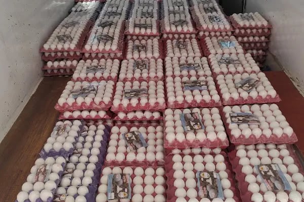 AKŞEHİR SAFİR YUMURTA PAKETLEME - Resim 2