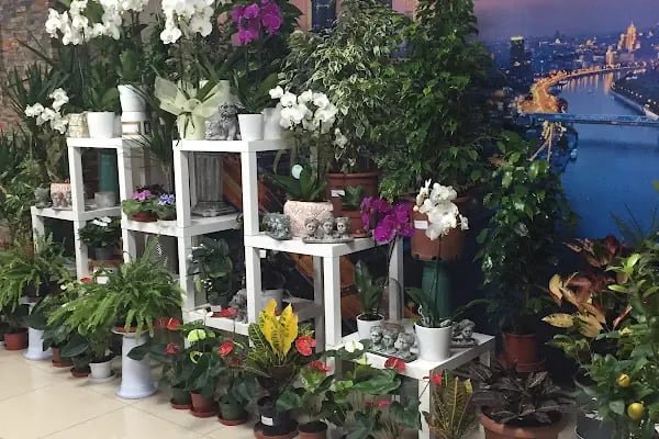 LİFECİTY FLOWERS ( ÇİÇEKÇİLİK ) ANKARA - Resim 6