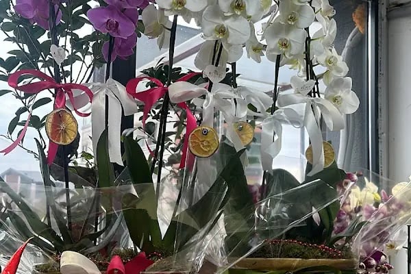 LİFECİTY FLOWERS ( ÇİÇEKÇİLİK ) ANKARA - Resim 20