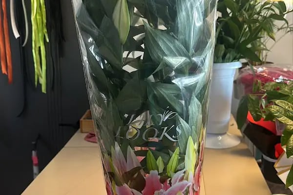 LİFECİTY FLOWERS ( ÇİÇEKÇİLİK ) ANKARA - Resim 16