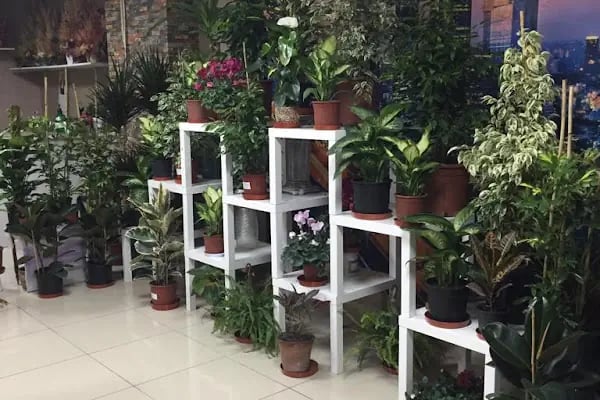 LİFECİTY FLOWERS ( ÇİÇEKÇİLİK ) ANKARA - Resim 12