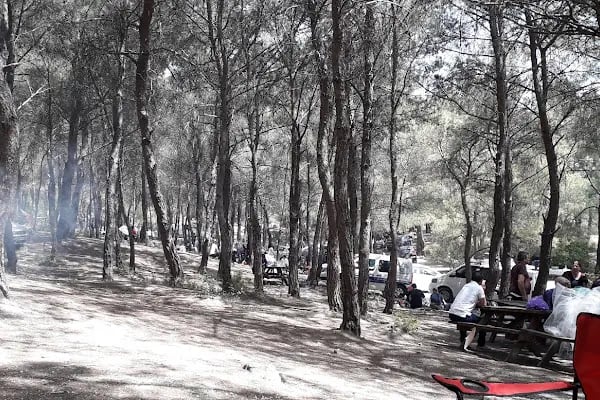 Bıçakçılar Park Orman Tesisleri 1968 ' den beri - Resim 17