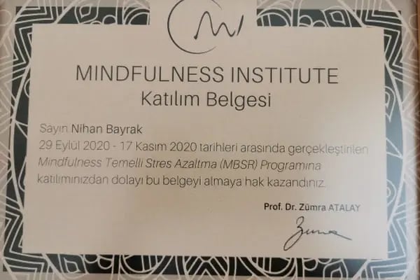 Psikolog Nihan Bayrak Psikolojik Danişmanlik Merkezi - Resim 17