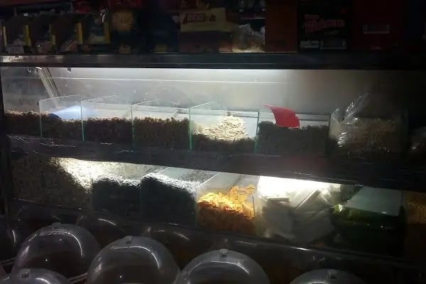 ÖZGÜR MARKET - Resim 3