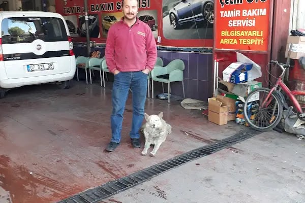 ÇELİK OTO TAMİR BAKIM SERVİSİ - Resim 5